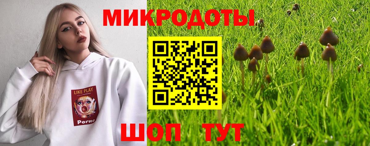 Псилоцибиновые грибы мицелий  Вход с VPN  Чита 
